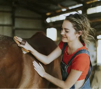 Mädchen putzt Pferd mit Kardätsche in Stall