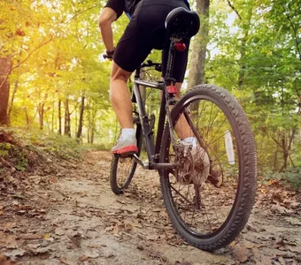 Ein Radfahrer in Sportkleidung auf einem Crossbike fährt aufwärts auf einem mit Laub bedeckten Waldweg