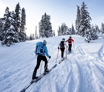 Drei Personen mit Rucksack und Skiern steigen einen Hang hinauf