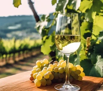 Ein Glas Weißwein steht vor einem Weinstock auf einem Holztisch mit grüner Weintraubenrebe