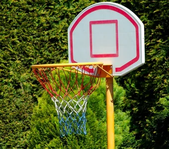 Ein Basketballkorb mit Brett und Ständer im Garten