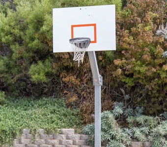Basketballkorb mit Ständer, im Hintergrund Gartenpflanzen