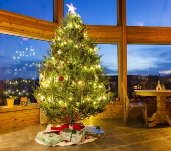 Ein Weihnachtsbaum wird mit zahlreichen Litern ausgeleuchtet