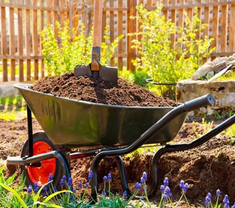 Eine mit Erde befüllte Metallschubkarre steht in einem Garten