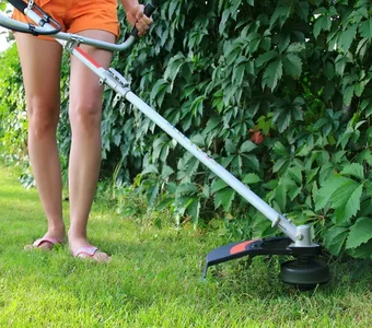 Frau trimmt Rasen unter Hecke mit Rasentrimmer