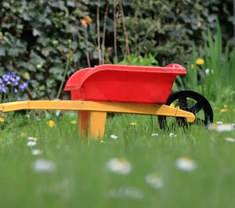 Eine rote Kunststoffschubkarre für Kinder steht im Gras zwischen Gänseblümchen