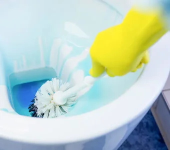 Toiletten säubern mit Reinigungsmittel und Toilettebbürste