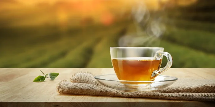 Eine dampfende Tasse Tee steht auf einen Fensterbrett vor einer grünen Landschaft