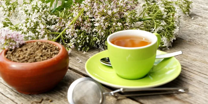 Baldrianpflanze, Wurzel und Tee mit Sieb auf Gartentisch draußen