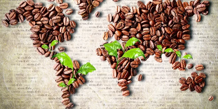 Aus Kaffeebohnen gelegte Weltkarte, auf der junge Kaffeepflänzchen die Anbaugebiete markieren