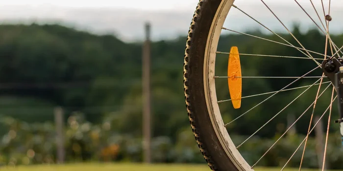 Detailaufnahme eines halben Fahrradreifens vor einem landschaftlichen Hintergrund