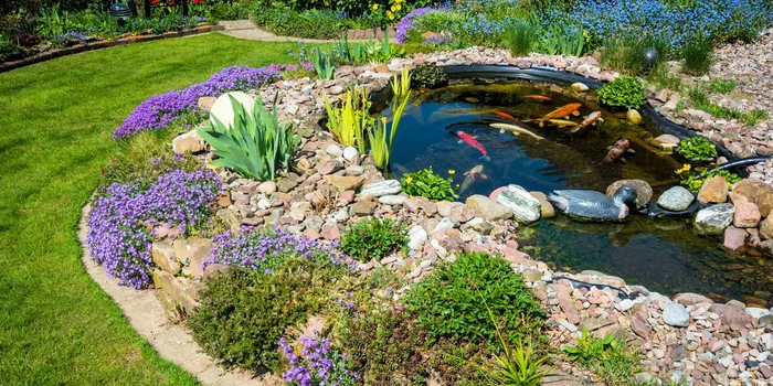 Teich im Garten mit fischen und Pflanzen