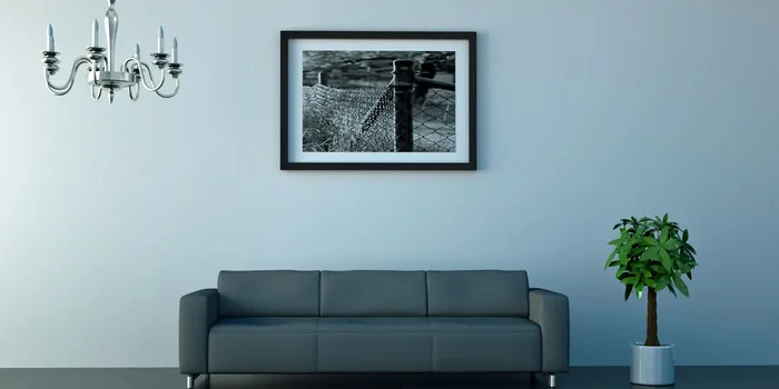 In Grautönen gehaltenes, modernes Wohnambiente mit einem Sofa, Kronleuchter, einer Topfpflanze, einem Teppich und einem Bild an der Wand