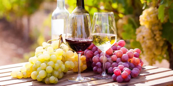 Auf einem Holztisch stehen zwei Gläser mit Weiß- und Rotwein vor hellen und roten Trauben und zwei Weinflaschen