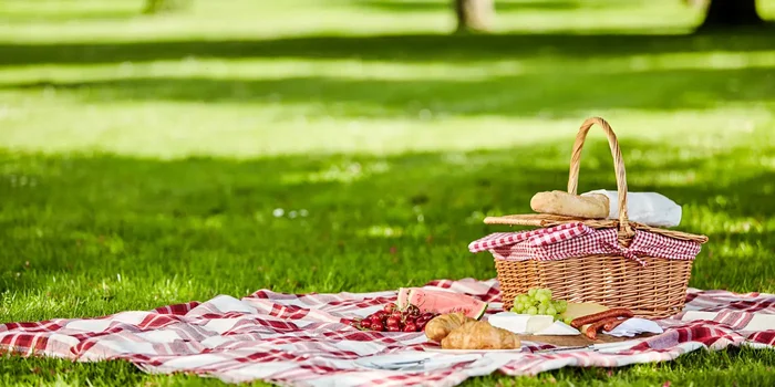 Auf einer Wiese liegt eine rot-weiß karierte Picknickdecke, auf der sich ein Picknickkorb und diverse Speisen befinden