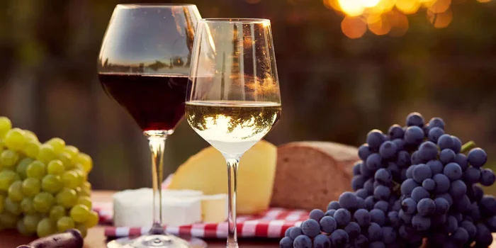 Ein Glas Rotwein und Weißwein neben Trauben, Käse und Brot auf Holztisch im Garten