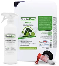 BactoDes Animal Konzentrat 10 L Kanister inkl. 1 Misch- und Sprühflasche