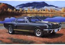Revell 07242 - Shelby Mustang GT 350 H