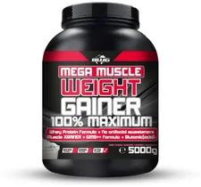 BWG Muscle X Gainer