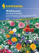 Wildblumenmischung (Samen)