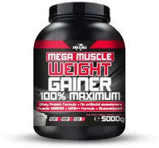 Body World Group Muscle X Gainer 5000g