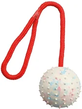 Trixie Ball am Seil Naturgummi (ø 7 cm / 30 cm)
