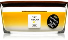 WoodWick Sommerfrüchte Duftkerze in elliptischem Glasgefäß mit Heartwick Holzdocht 453,6g Glas weiß / gelb / orange 11,6x19,2x9,1cm (76958EU)