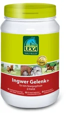 Lexa Ingwer Gelenk+