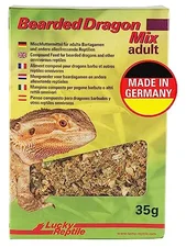 Lucky Reptile Bearded Dragon Mix Adult