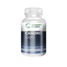Candropharm CandroKaps CBD-Kapseln 25 mg (30 Stk.)
