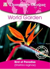 Paradiesvogel-Blume (Strelitzia)
