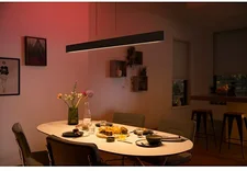 Philips Hue White & Color Ambience Ensis schwarz (929003052501)