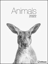 teNeues Animals 2022 Poster-Kalender 48x64cm