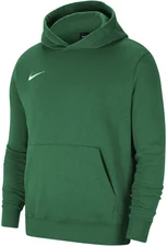Nike Park 20 Fleece Hoodie Junior (CW6896) pine green/white