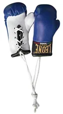 Leone Sport Mini Boxing Gloves