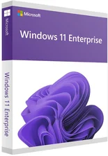 Microsoft Windows 11 Enterprise (64 bits)